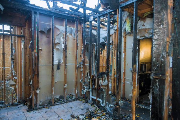 Professional Fire Damage Removal technician working in Princeton, MN